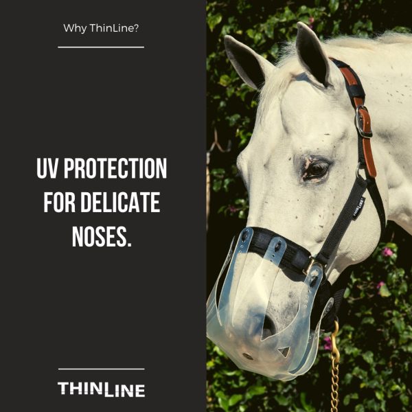 Thinline muzzle