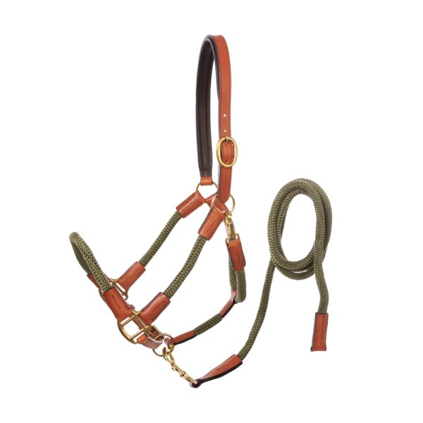 Cavo halter
