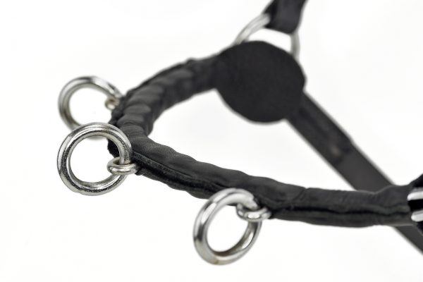 Comfy Connections Leather Cavesson - Image 2