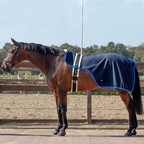 QHP Florence Lunging Rug