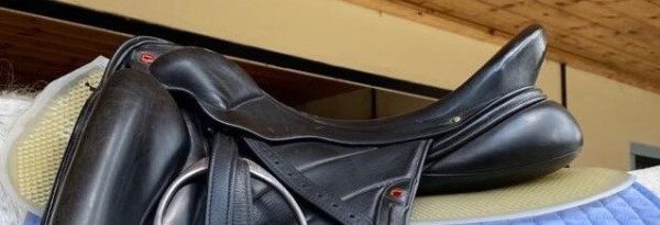 VIP Saddlepad XL Wide - Image 3