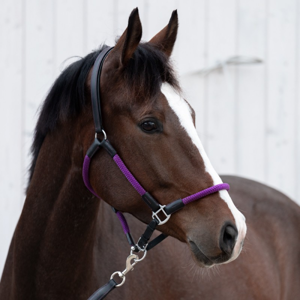 Purple Cavo halter