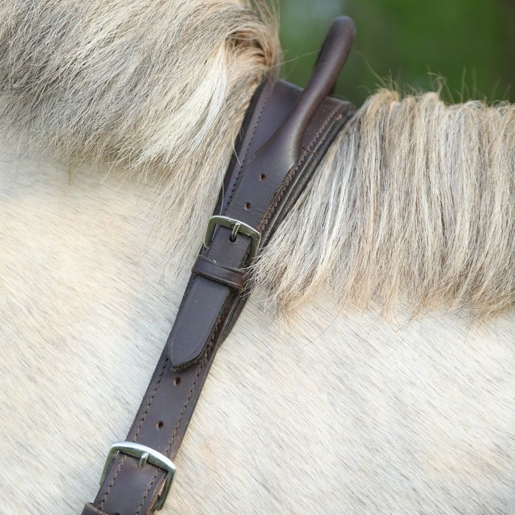 Correct Connect double neck strap The Comfy Horse Company