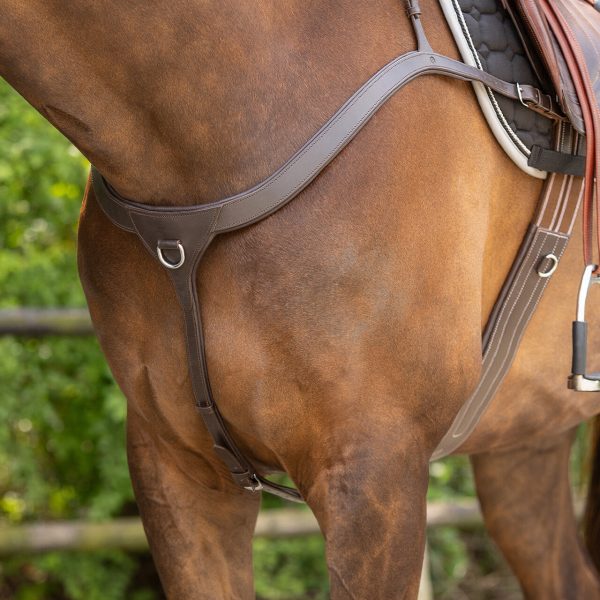 QHP Breastplate