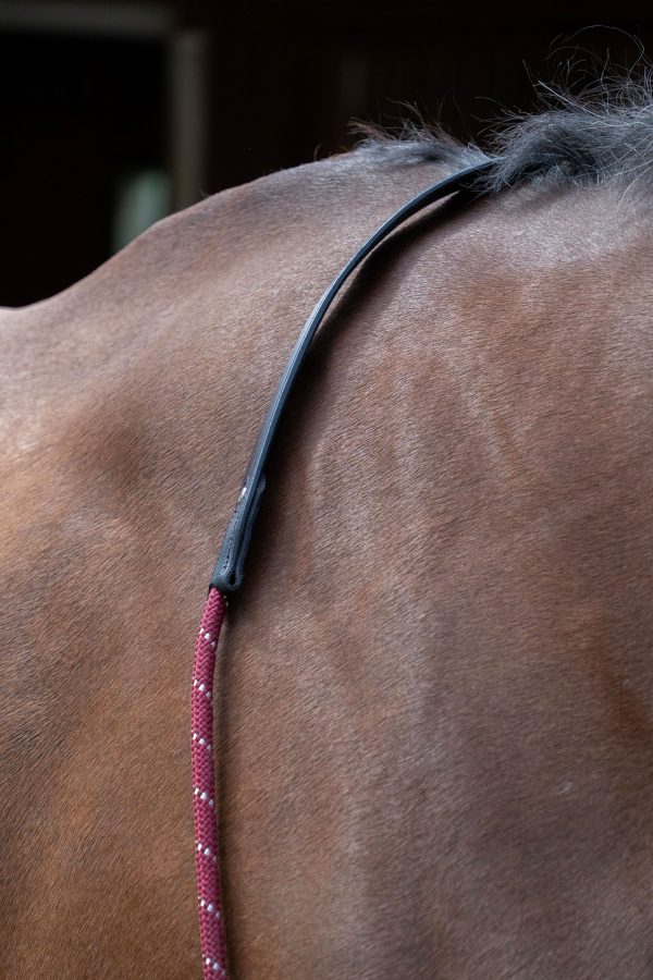 QHP Leather neck rope - Image 2