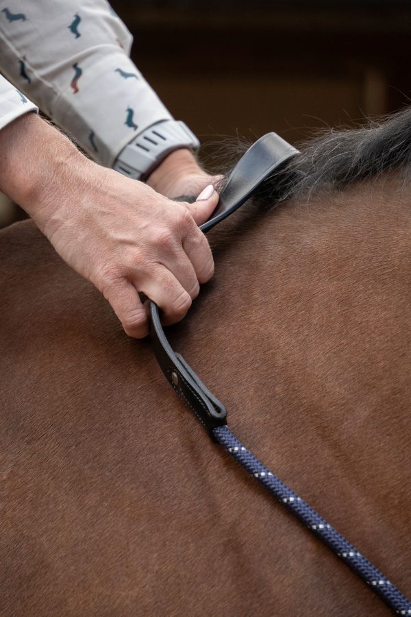 QHP Neck rope with leather