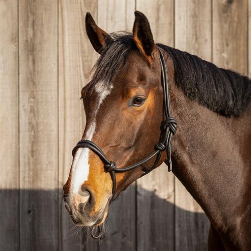 qhp-rope-halter-leather