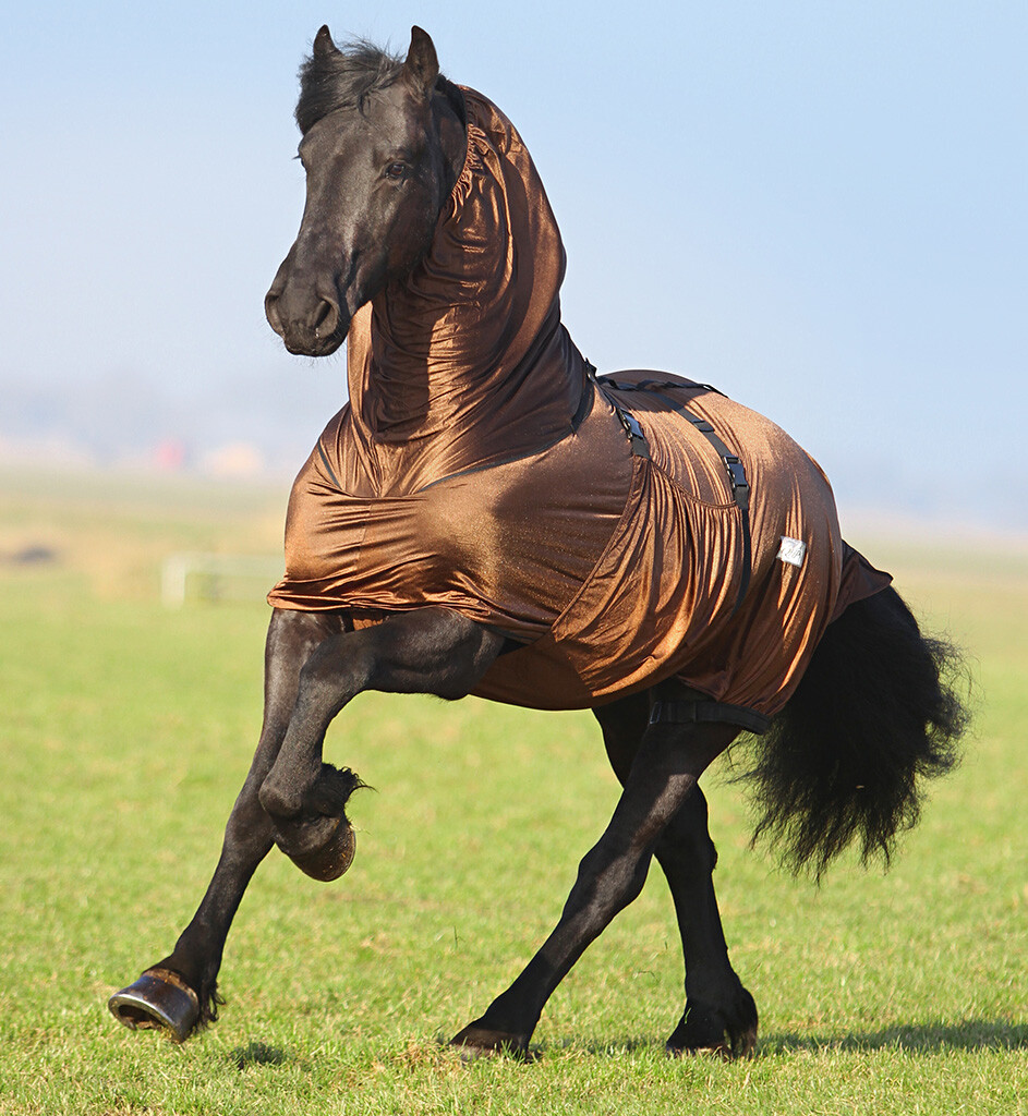 Brown Presteq Big Neck