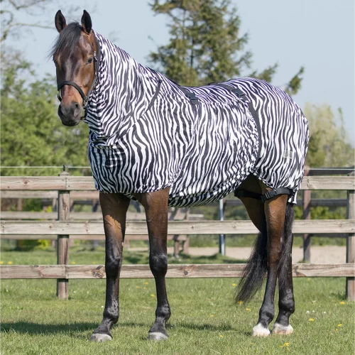 QHP Eczema rug zebra