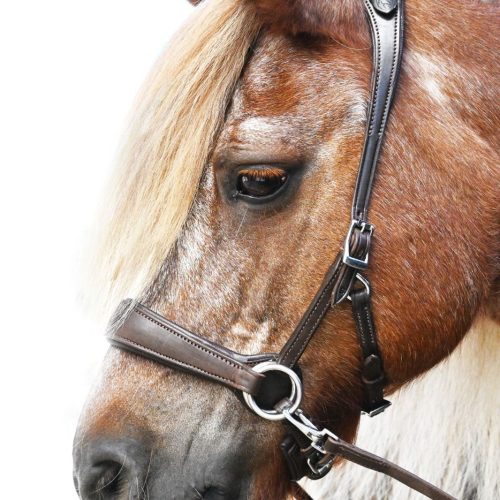 EDIX ED2 Grace sidepull bridle